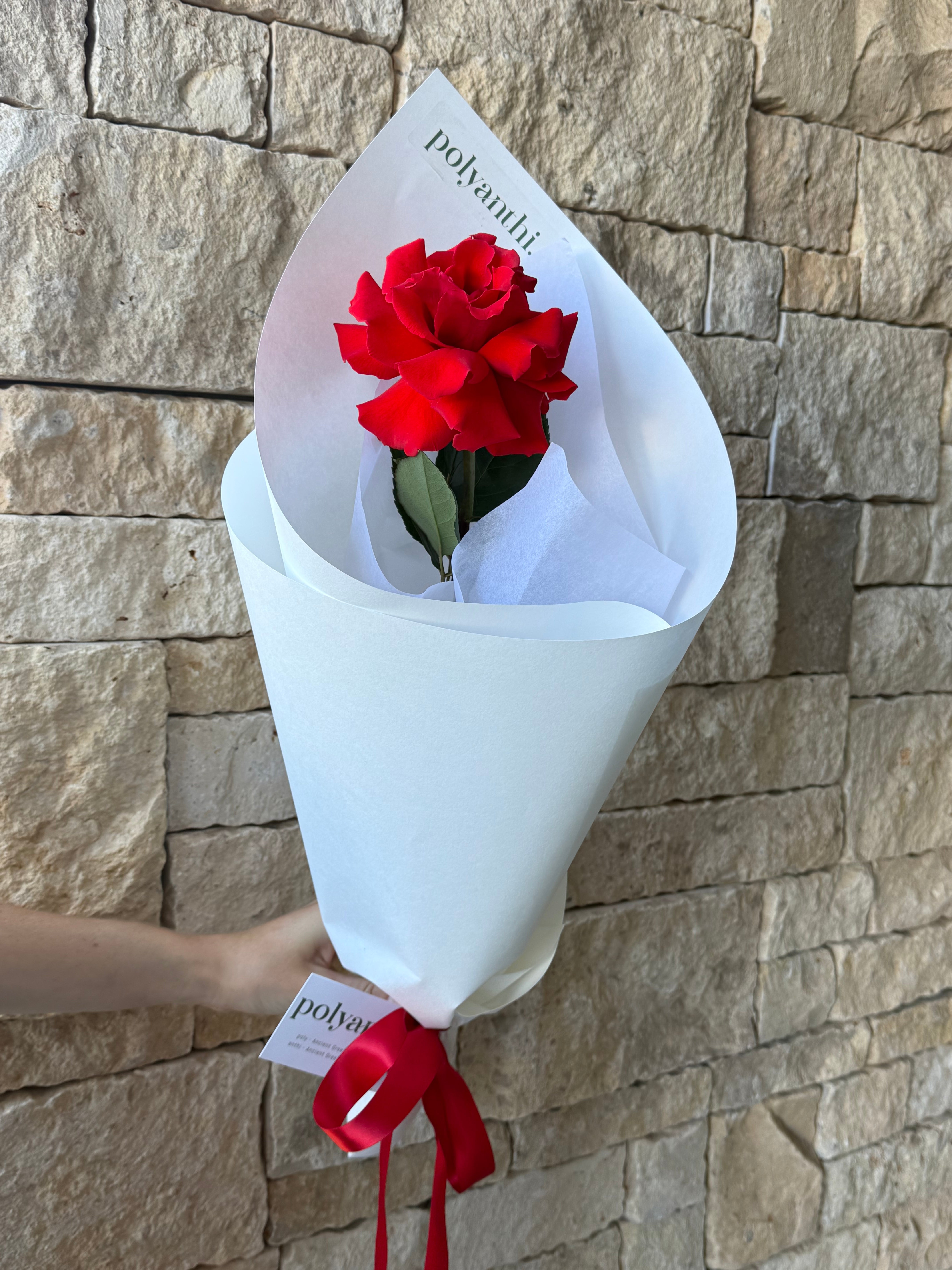 Single Red rose wrapped in white paper
