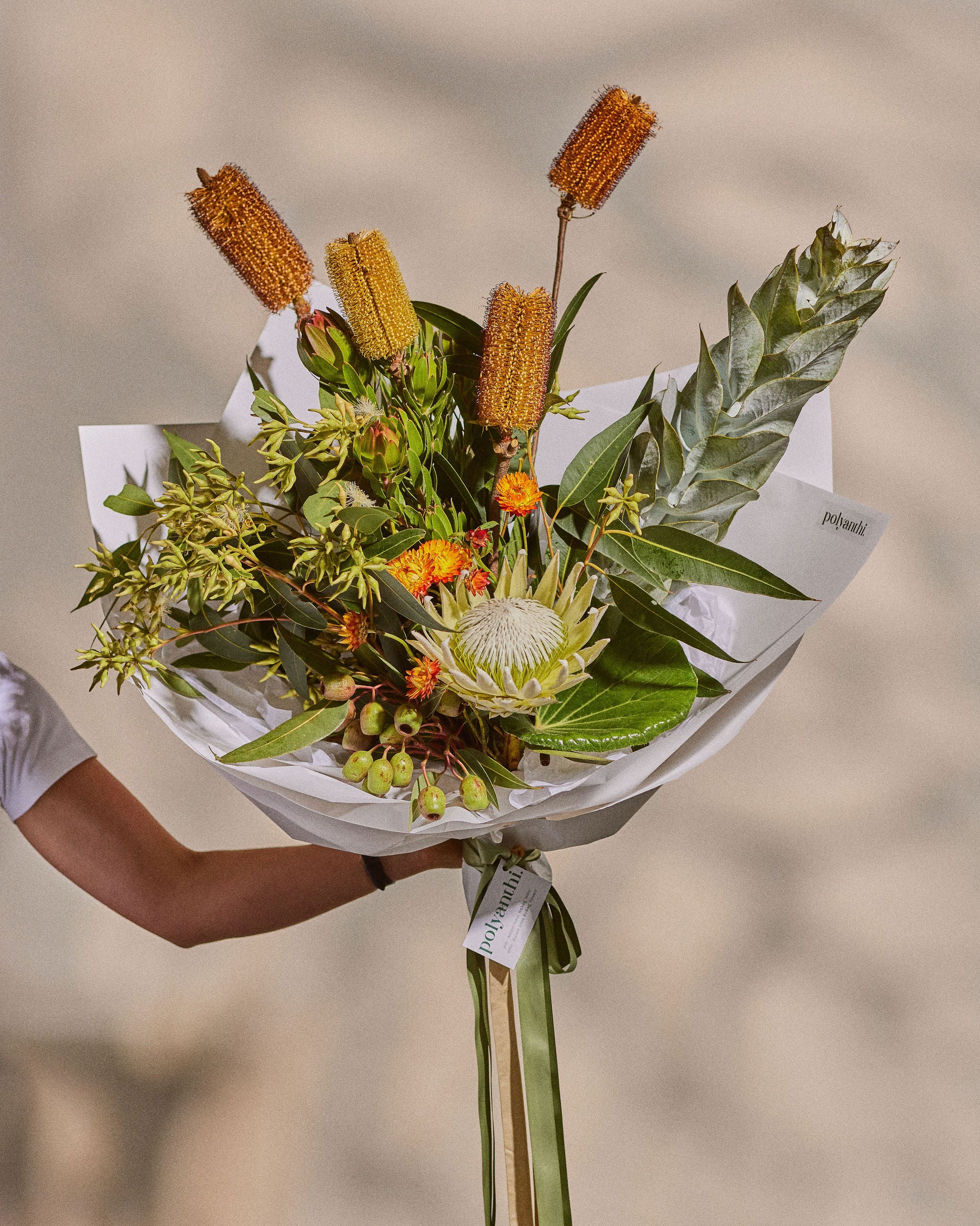 Indigenous Wilderness